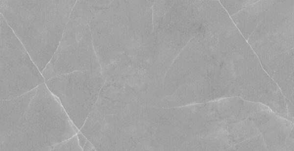 Porcelanico 56x113 Alboran Cinza - Imagen 2