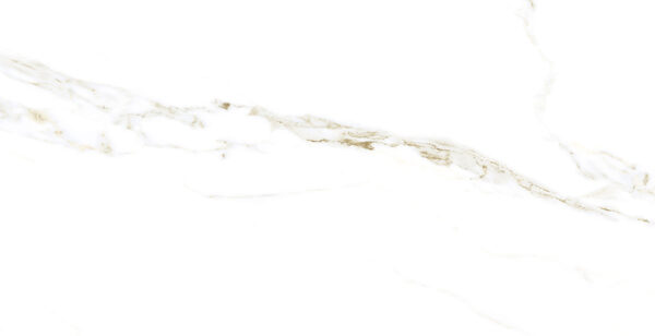 Porcelanico 56x113 Paladino Mate - Imagen 2