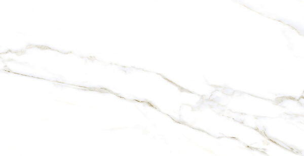 Porcelanico 56x113 Paladino Mate