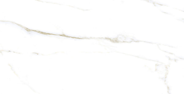 Porcelanico 56x113 Paladino Mate - Imagen 3