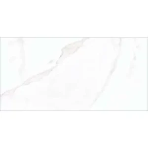 Porcelanico 58x118 Olimpo Gray Plus Hd