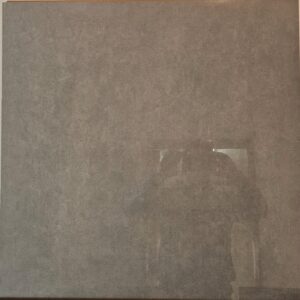 Porcelanico 74,5x74,5 Pulido Gris Bellastone