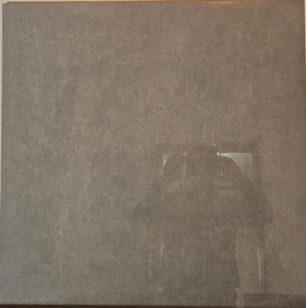 Porcelanico 74,5x74,5 Pulido Gris Bellastone