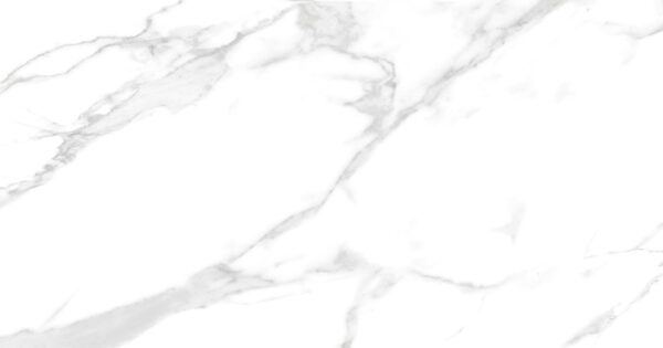 Porcelanico Mate 64x123 Supra Calacata Gris Rt64502