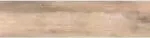 Porcelanico Simil Madera 28x118 Indiana Plus Hd